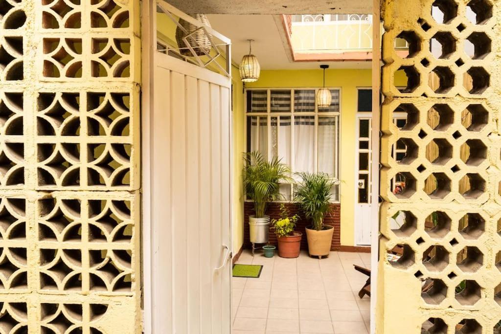3 Bd House Steps From Santo Domingo Apartment Oaxaca ภายนอก รูปภาพ