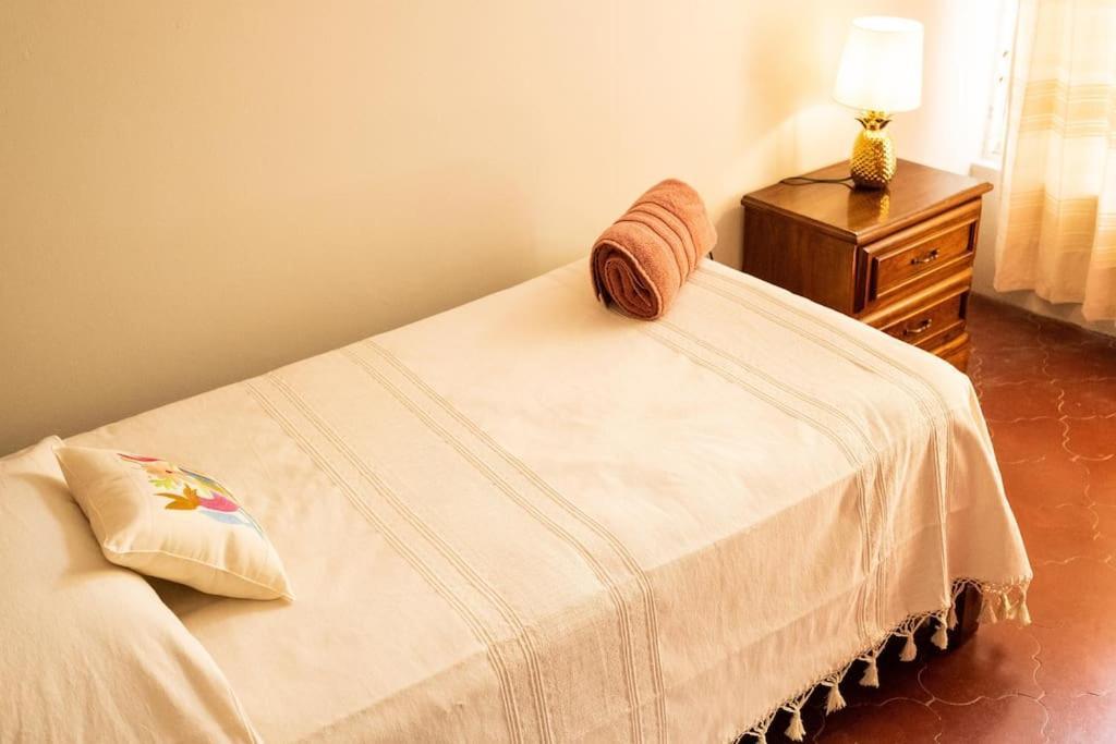 3 Bd House Steps From Santo Domingo Apartment Oaxaca ภายนอก รูปภาพ